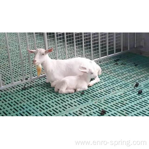 Plastic Slatted Floor On Goat Farm